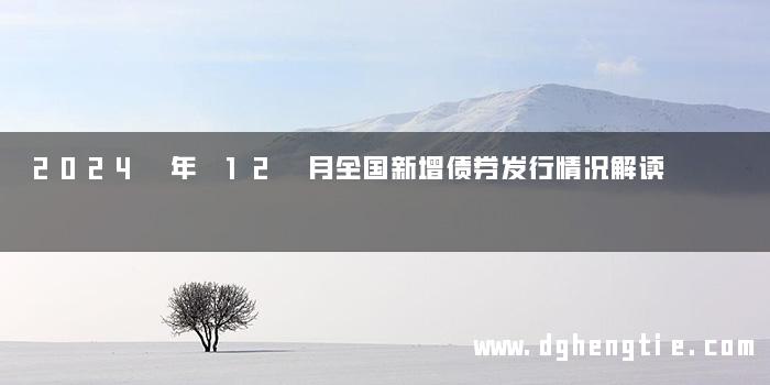 2024 年 12 月全国新增债券发行情况解读